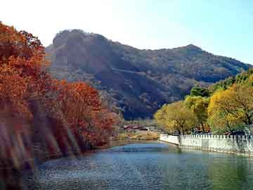 福建浙江上海震感，福建浙江上海地区出现震感，地震波动引起广泛关注